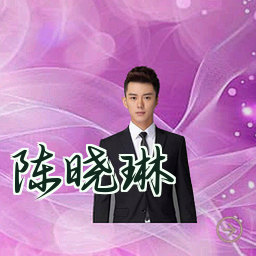 陈晓琳
